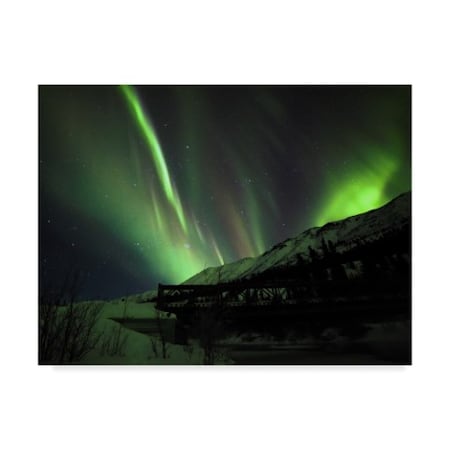 Brenda Petrella Photography Llc 'Aurora Delight' Canvas Art,35x47